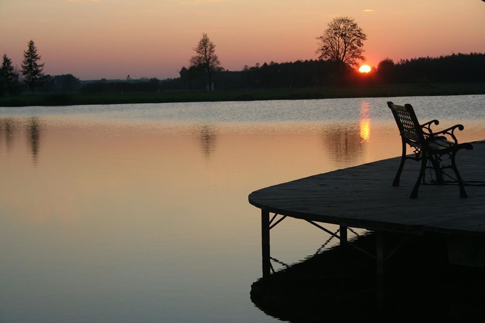 Karaś kolor Shubunkin. Ryby ozdobne RÓŻNE do zarybień stawów i oczek.