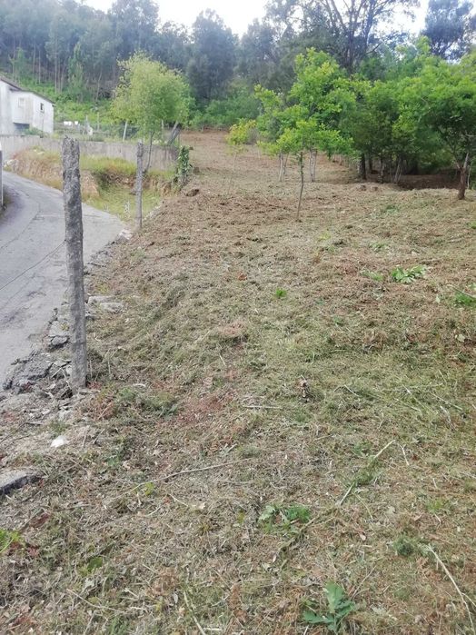 Limpeza de terrenos, matos jardins e outros afins