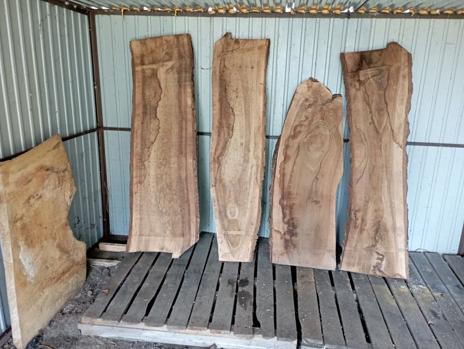 Deski orzech na stoły