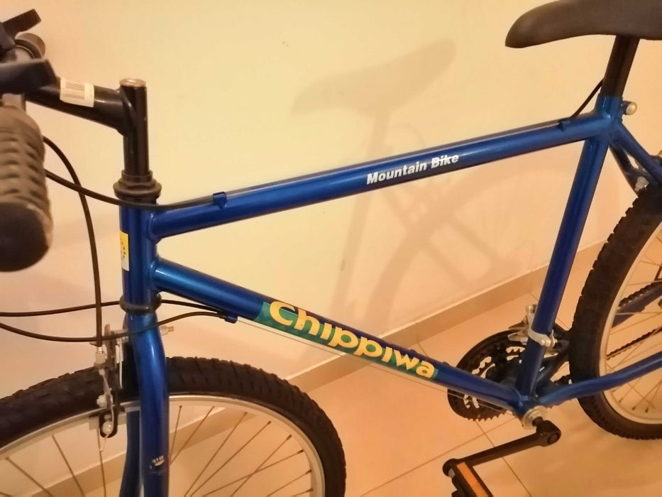 Bicicleta de montanha