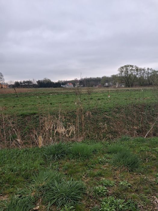 Działka budowlana Radomyśl Wielki - Widok 2