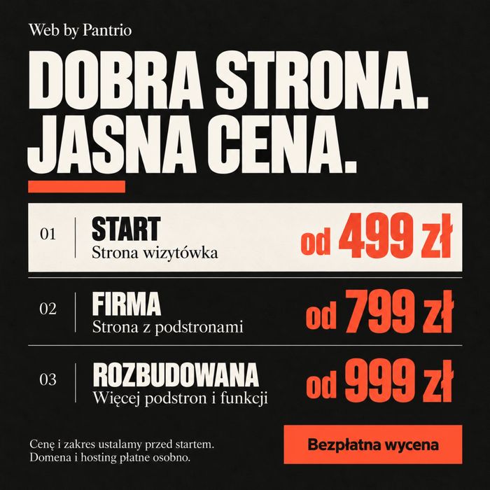 Strona internetowa dla firmy od 499 zł – wizytówka w 7 dni