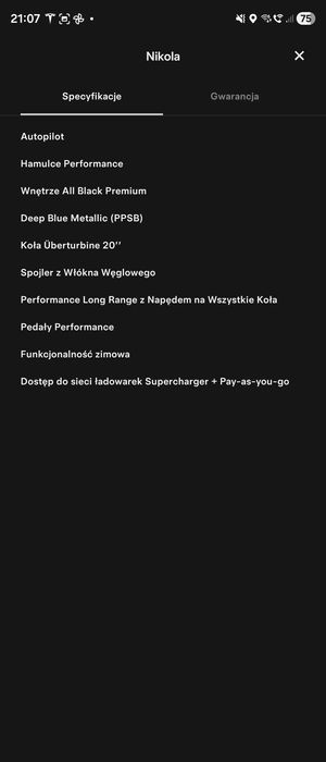 Tesla Model 3 Performance 2021 Deep Blue Samochód Elektryczny (polift)