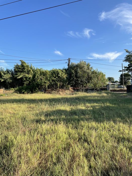 Terreno Rústico (2.350 m²) com Nora e Árvores - Pego, Abrantes