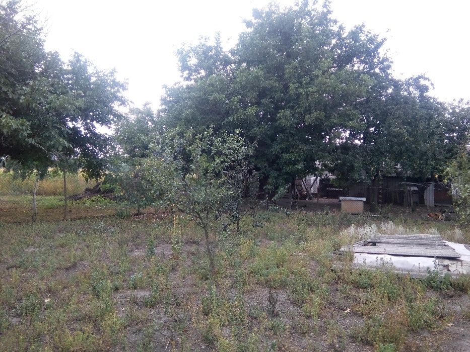Продам дом с земельным участком