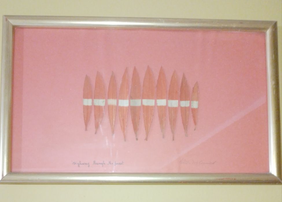 Original "highway to the forest"