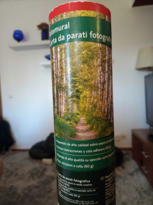 Papel de parede em embalagem original (motivo: floresta)