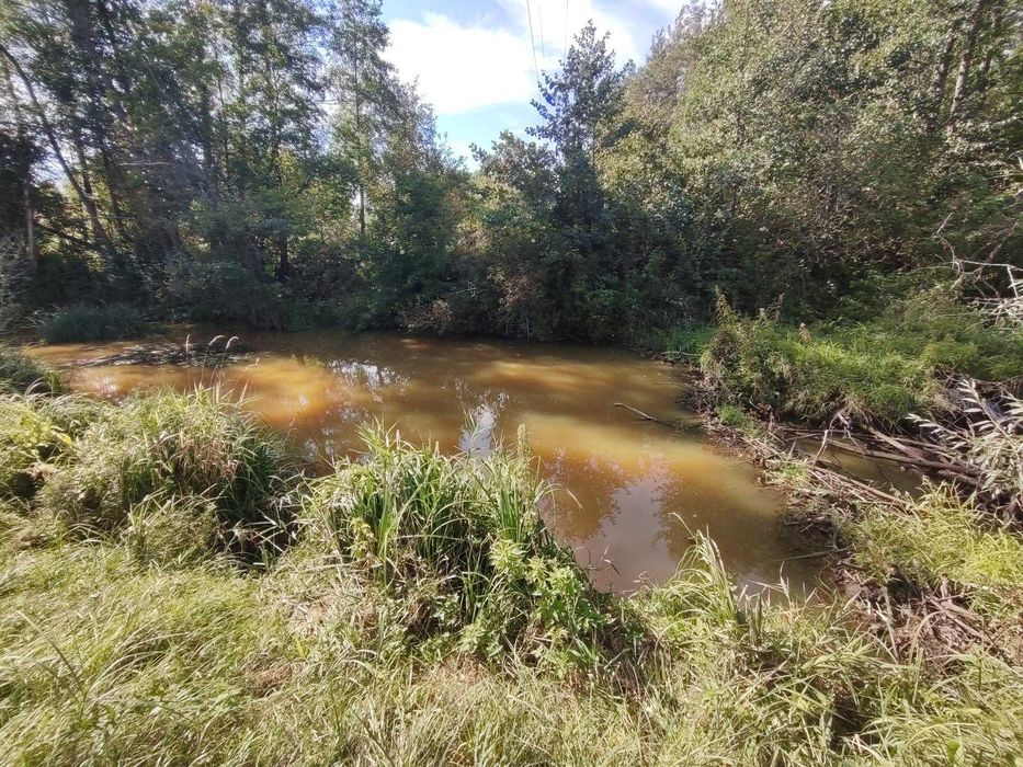 № 13763 - Будинок, Грабовка, 2-пов., цегла