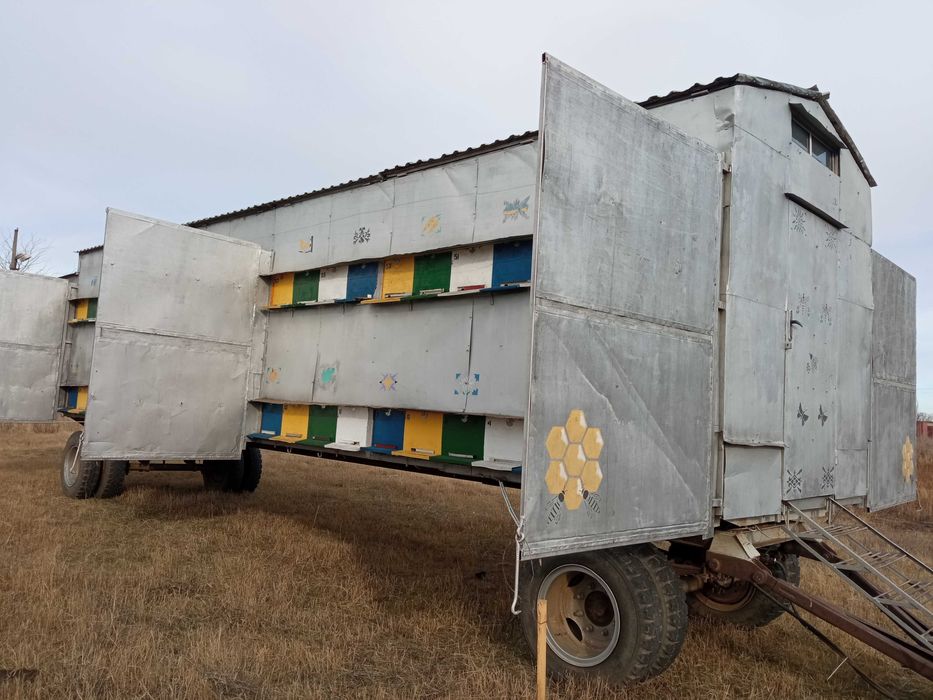 Бджолярський  павільон