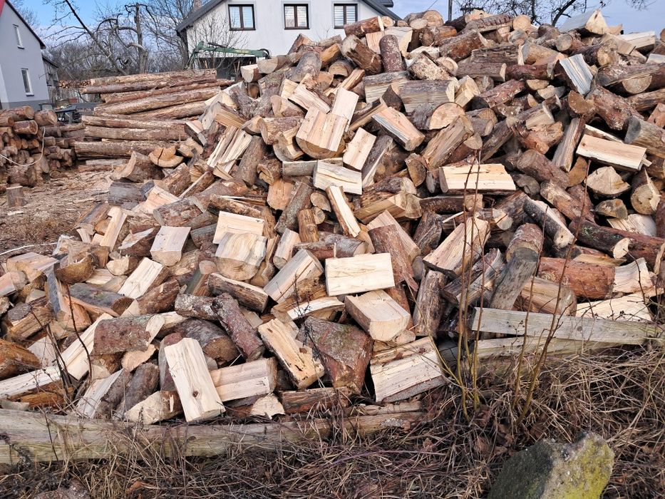 Drewno opałowe/kominkowe z transportem