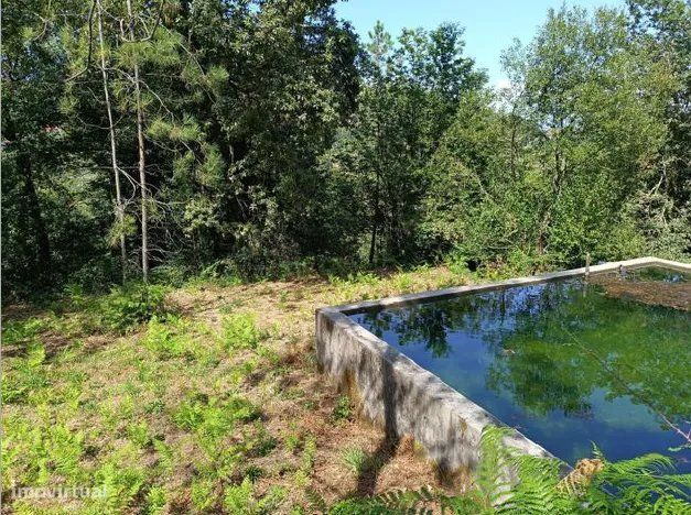 Quinta com 2 Hectares e Casa em Pedra para Recuperar em Gomide, Vila V