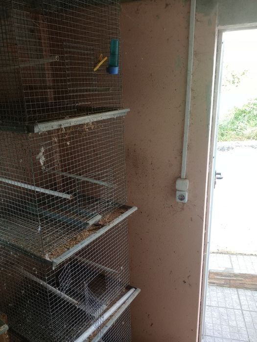 Gaiolas , voadeiras e módulos criação