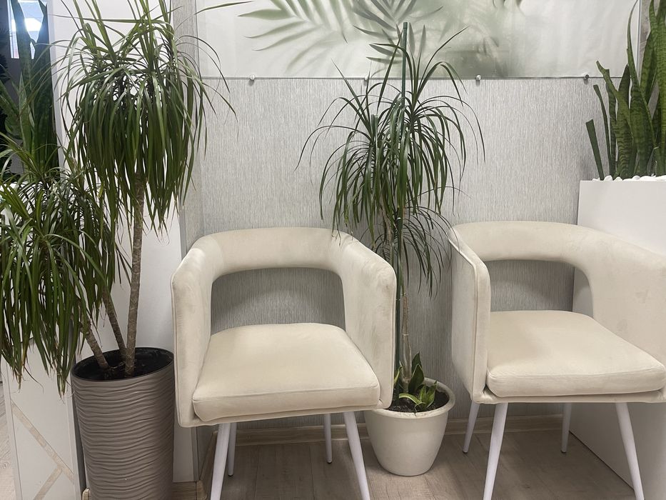 Аренда места для мастера по кератину/ботоксу