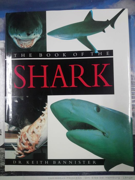 Livros sobre TUBARÕES / SHARK
