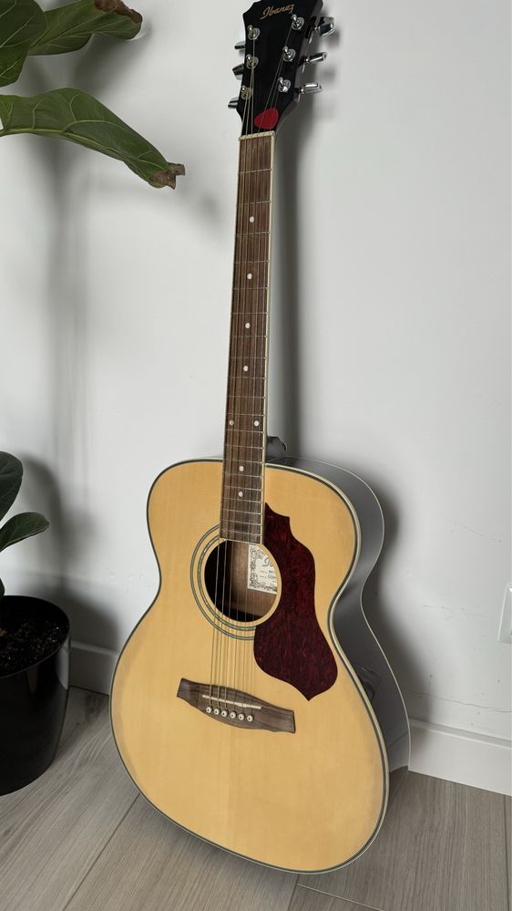 Ibanez sgt110 new arrivals