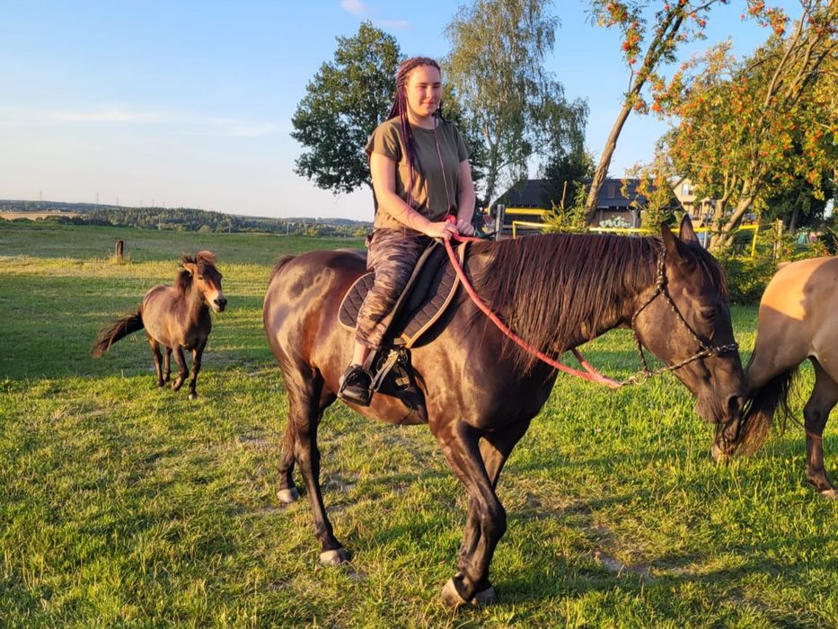 Domek nad jeziorem, Kaszuby, konie, mini SPA na wyłączność