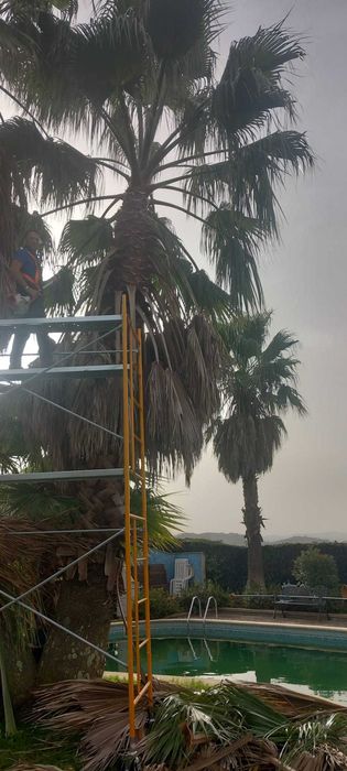 Jardins da vila manutencao de jardins