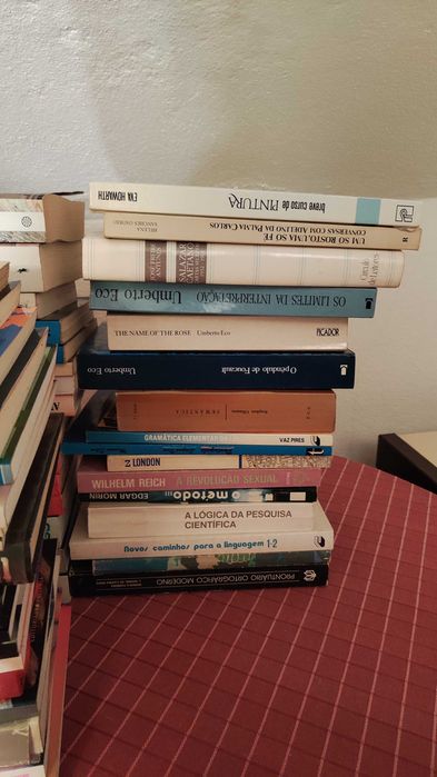 Biblioteca 200+ Livros: Juvenis, Técnicos, Literatura, Coleções