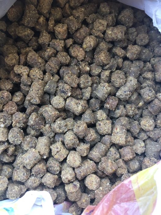 корм для собак ekonom 10кг