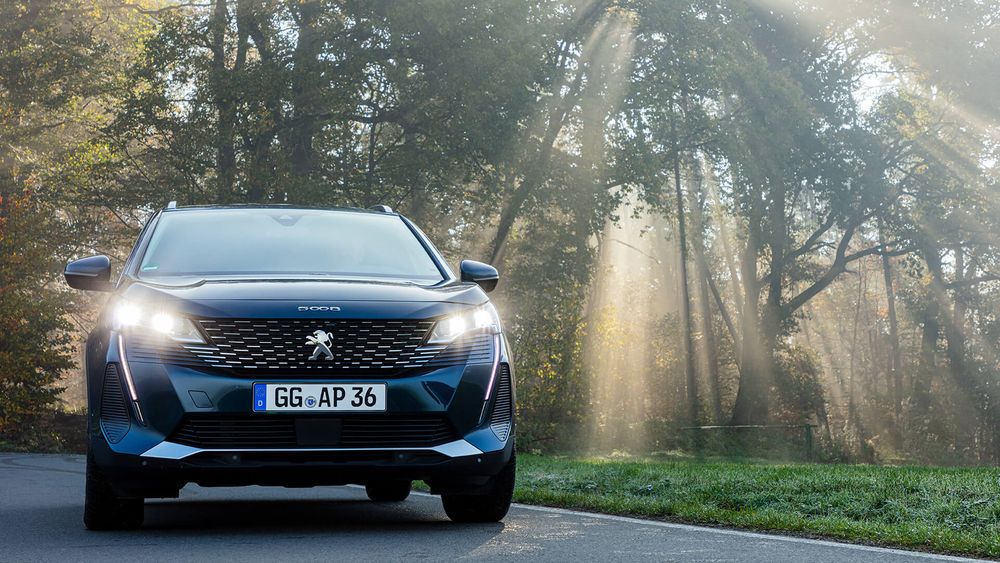 Zdjecie w galerii numer 3