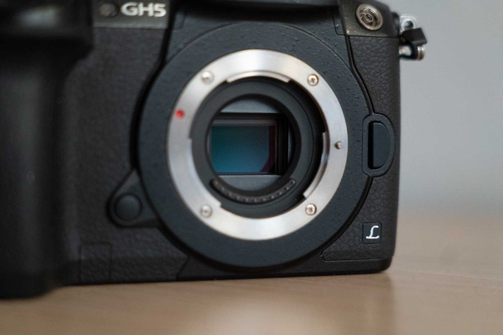 Lumix GH5 + adapter VItrox EF-M2II