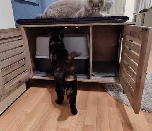 Armário para esconder caixa de areia gato / casota gato NOVOENVIOGRÁTI