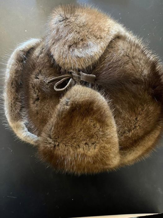 Piękna uszatka z norki