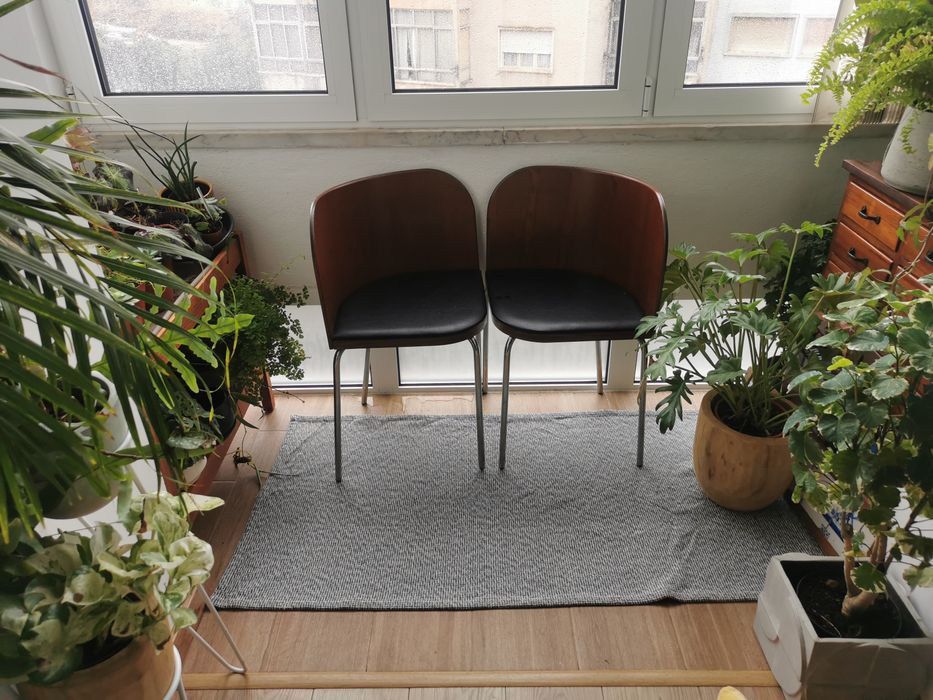 2 Cadeiras com encosto