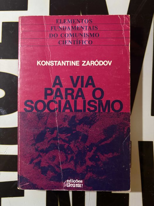 Konstantin Zaródov - A Via Para o Socialismo