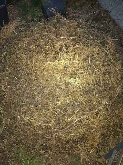 Nawóz guano alpak, bezwonne do ogródka.