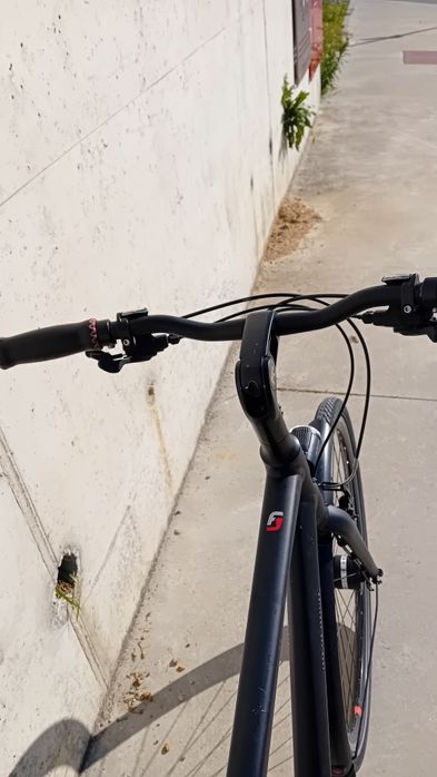 Bicicleta Urbana Koga