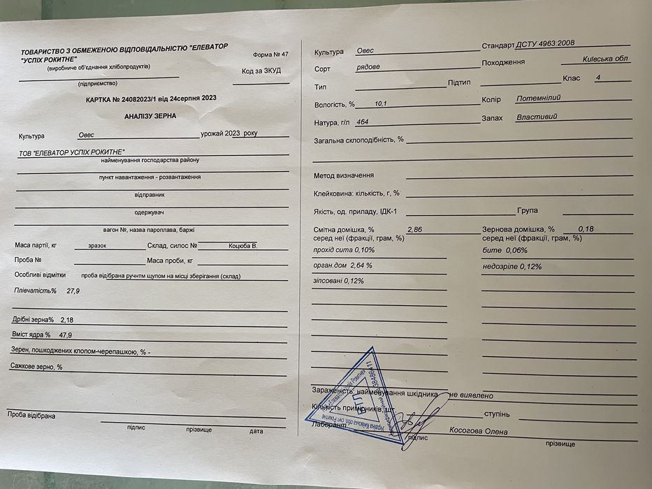 Продам зерно пшениці  овес