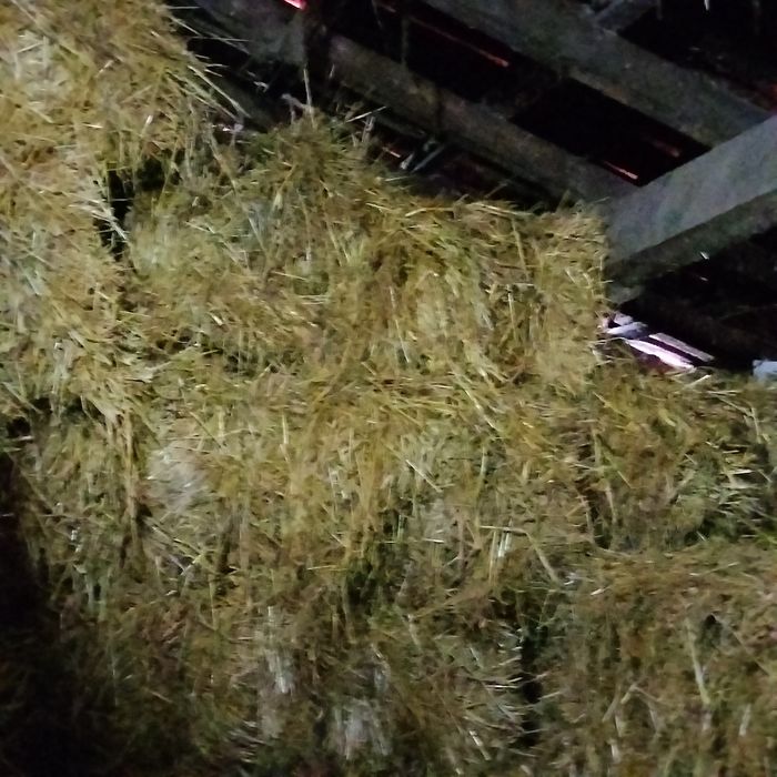 Fardos erva castelhana