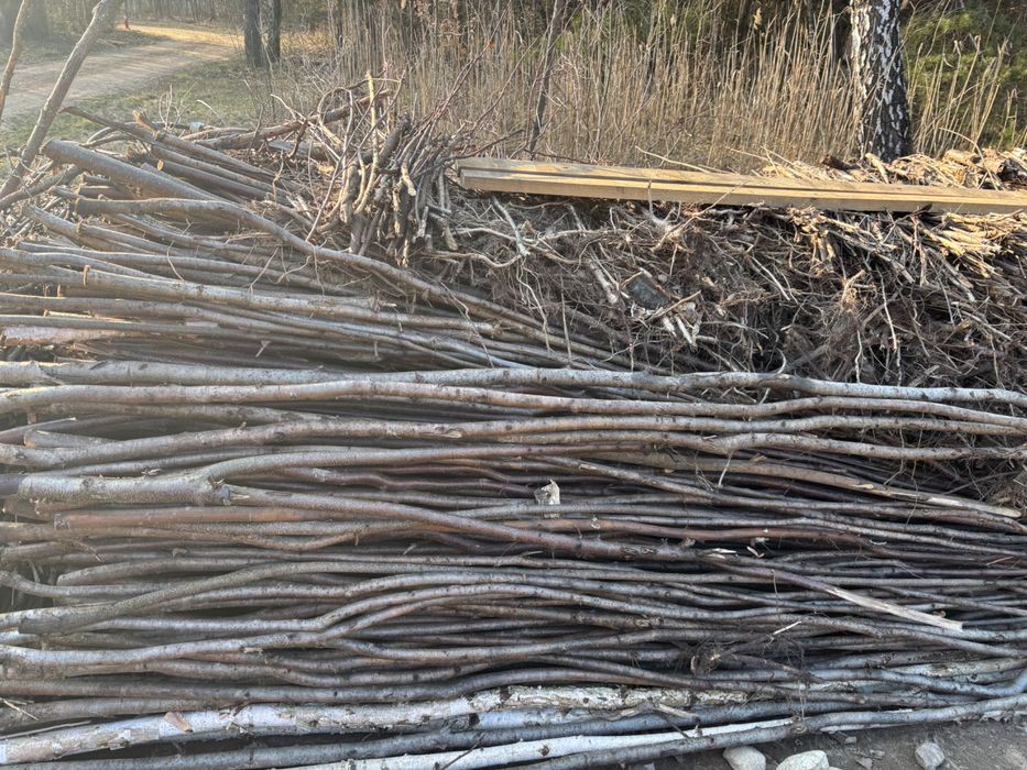 Oddam drewno, chrust wysuszone, ułożone.
