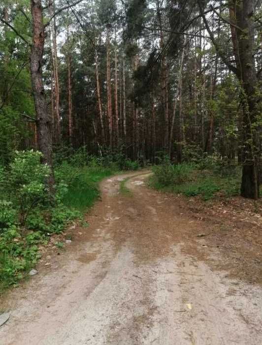 Продам земельну ділянку