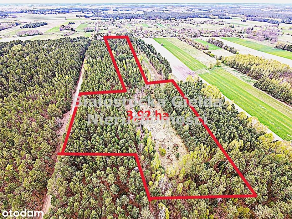 Działka 3,92ha//warunki zabudowy//LAS