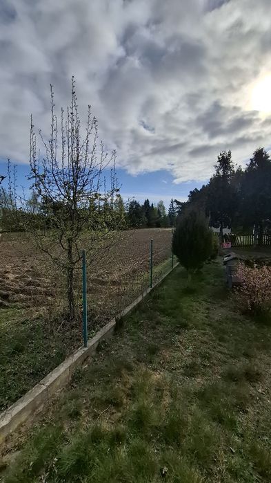 Zdjęcie 5
