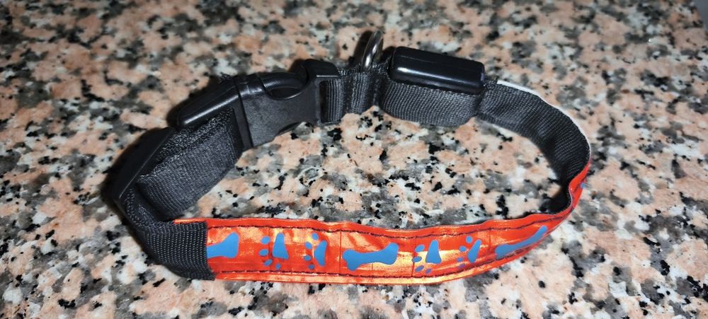 Coleira cão com luzes