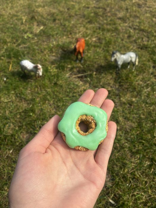 Horse donuts, przysmaki, ciastka z lukrem dla koni