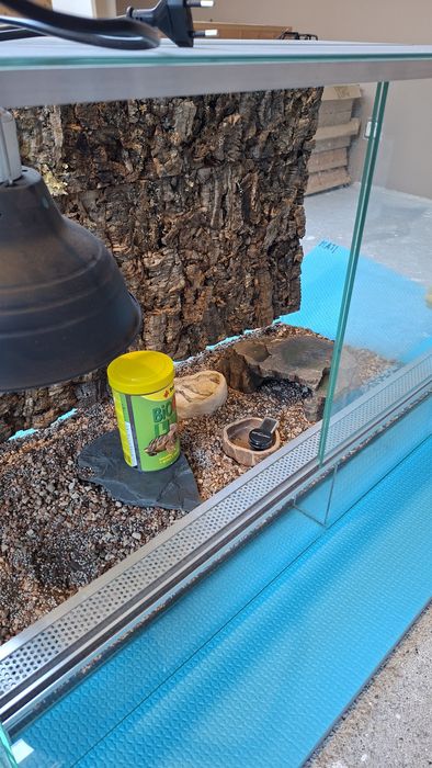 Terrarium dla żółwia
