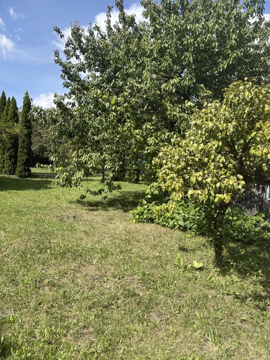 Działka ogródek działkowy ROD os. Rąbin Inowrocław 700 m² - View 2