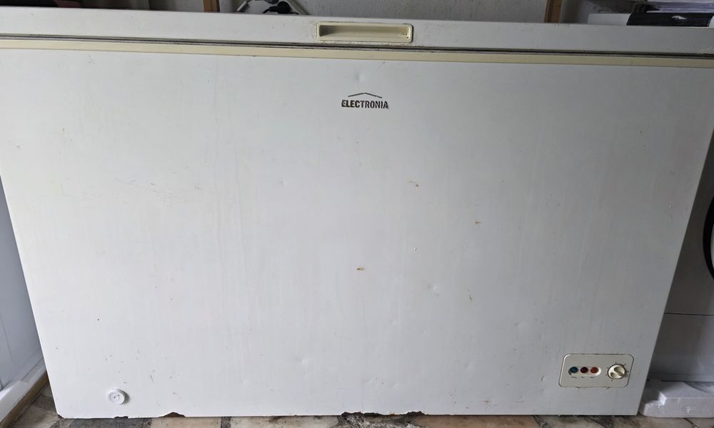 Arca Electronia 300 lt