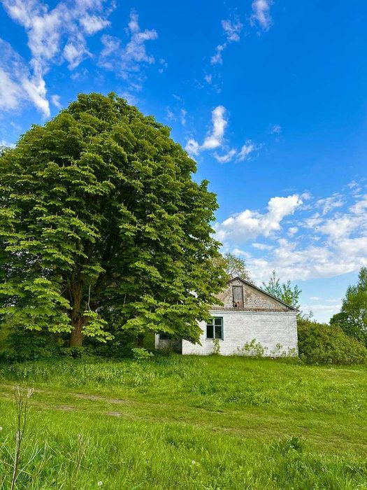 Розкішна, величезна ділянка з будинком, річкою та ставом (Луцький р-н)