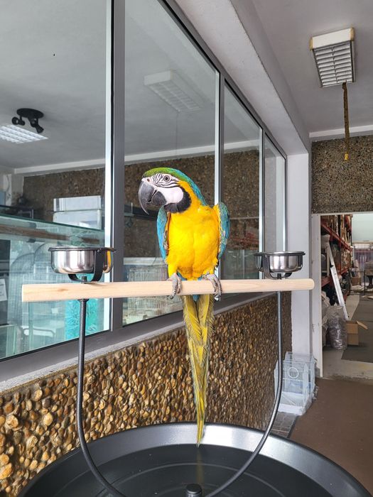 Gaiolas diversos modelos