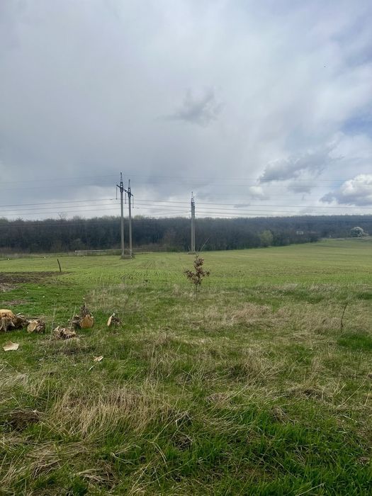 Будинок в с.Грабовець