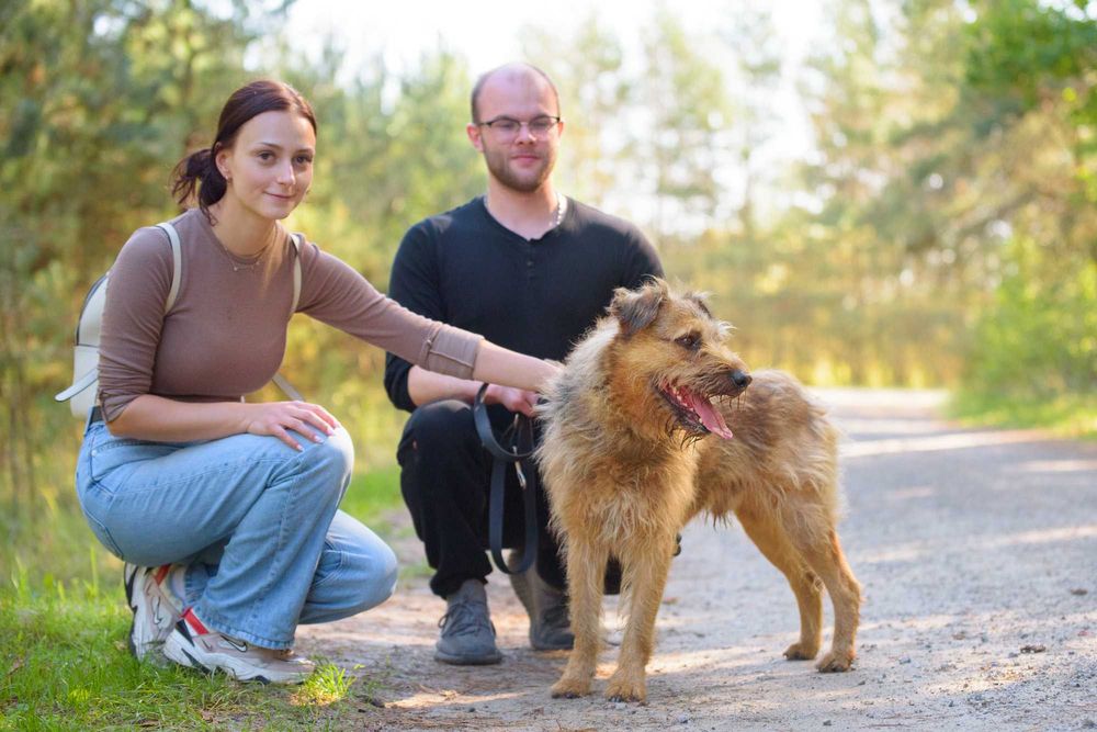 Dostojny Makesh w typie terriera szuka domu