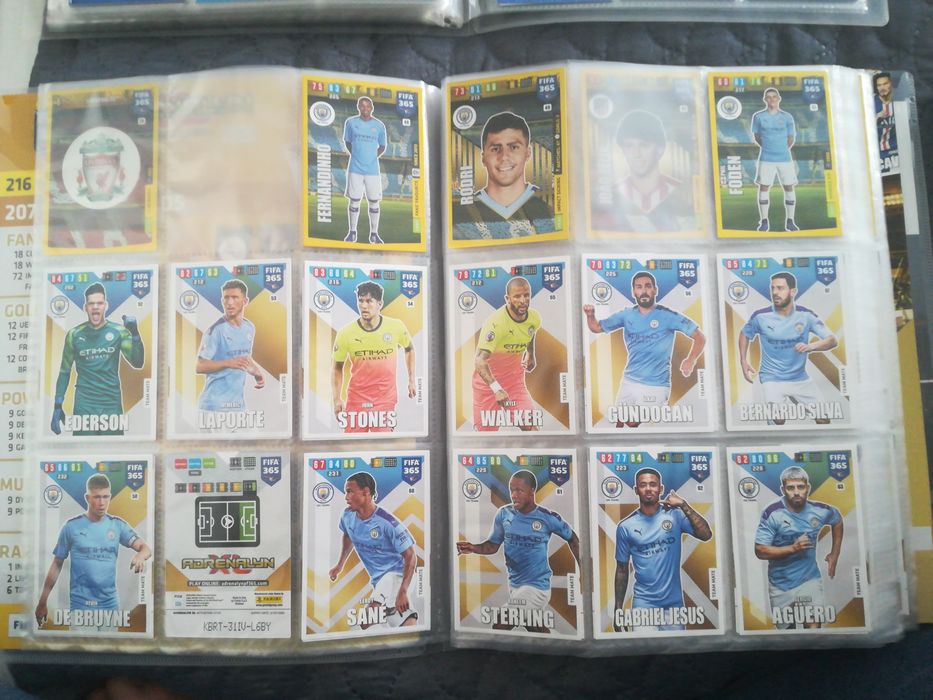 Album z Kartami Panini - FIFA 365 edycja 2019/20 (258 z 423 sztuk)