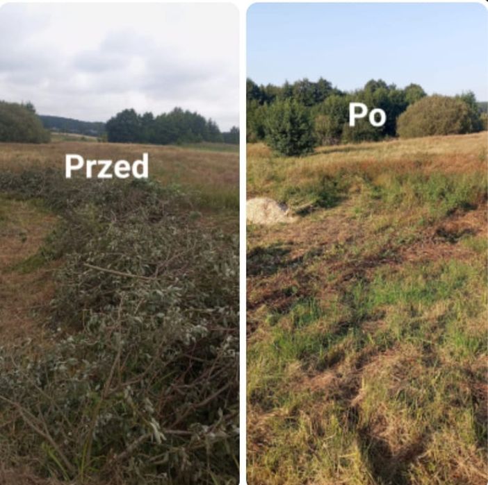 Mielenie gałęzi rębakiem spalinowym