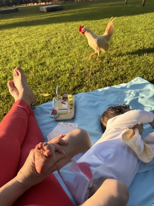 Ama dedicada - cuido de bebes  de 0- a 1 ano com amir e responsabilida