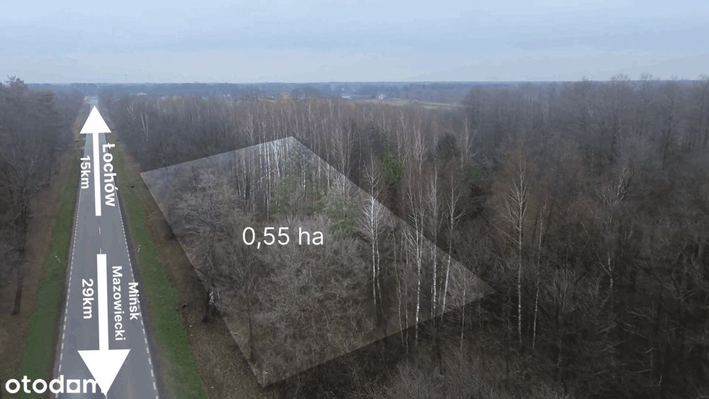 Działka USŁUGOWA - Droga KRAJOWA numer 50